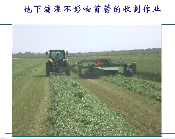 MetInfo enterprise content manager system | MetInfo CMS 润农节水