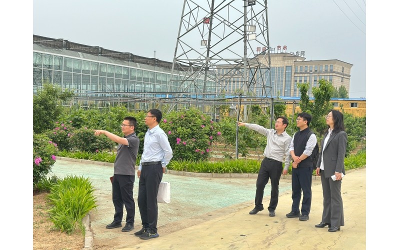 Представители контрольного управления Бюро по ценным бумагам провинции Хэбэй посетили компанию «Руннун Цзешуй» с плановой инспекционной поездкой для содействия её высококачественному развитию.