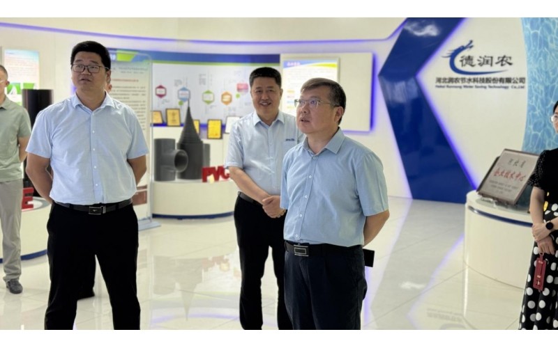 Вань Вэйдун с делегацией посетил «Руннун Цзешуй» с исследовательским визитом